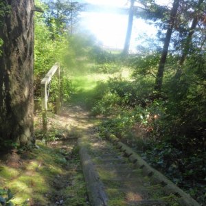 Media 'Stairs down to Pelican Beach' in album 'Ending the first stage of the weekend trip and beginning Stage 2 back where I started at Twin Bridges'