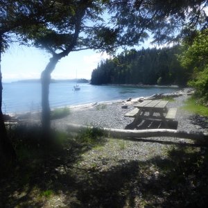Beach campsite at Pelican Beach