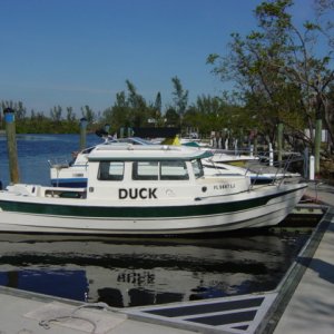 The Duck at Dock