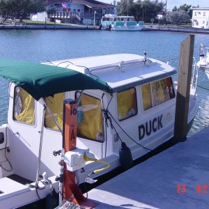 Duck at rest in Bahia -Honda with Privacy  curtains up
