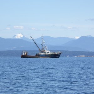 Fishing boat off of Grant Reef south of Savary Island