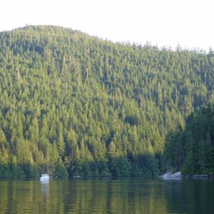 Media 'Per a local's recommendation at Comox, anchored in Waiatt Bay on Quadra Island late Tuesday evening, and still amazed by the relative lack of other boats' in album 'Public wharf at Comox Tues morning, waiting for winds to die down'