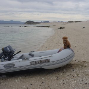 Tuckers Boat
