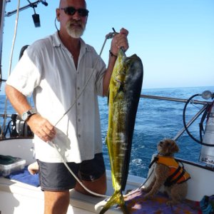 The Catch