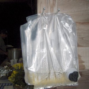 Boxless Wine Dispenser