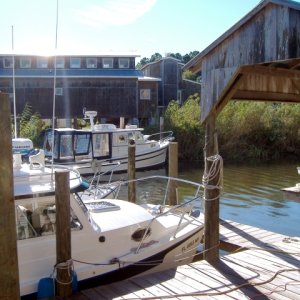 C-Dory07 073