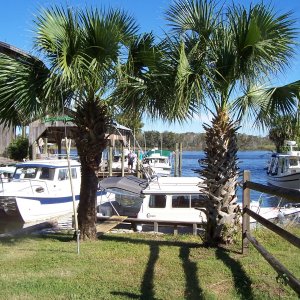 C-Dory Harbor...plus one Rosborough 246