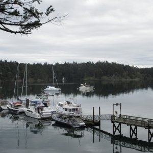 Media 'Sunday Morning at Prevost Harbor, Stuard Island' in album 'Sunday Morning at Reid Harbor, Stuart Island'