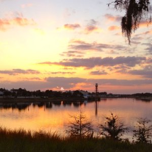 Media 'Sunset Park
(The Villages, FL)' in album 'Just before the ceremony'