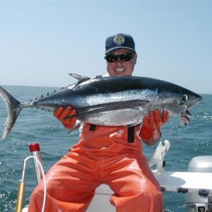 Monterey Bay Albies!.jpg