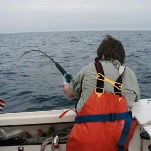 Media 'Pinned to the rail.jpg' in album '002_00A.JPG'