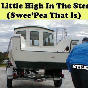 (Swee Pea)