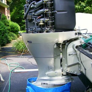 Clean fresh water flush.