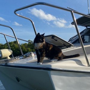 First time cruiser getting her sea legs