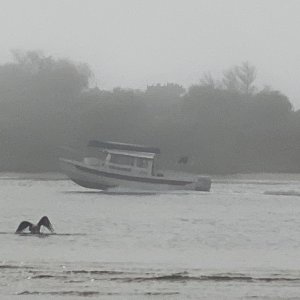Not 20 minutes later another C-Dory. Being used as a research boat.