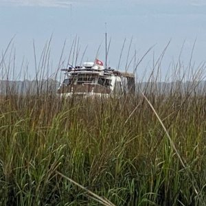 Anchored in the marsh grass near Nocatee