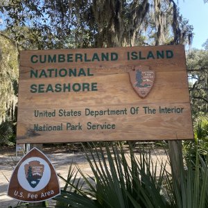 Awesome place. Always thought the remaining wild horses were out west...I was wrong