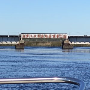 Chose to explore the Nassau River and its Four creek systems upstream. Unlike the St.Mary?s this RR bridge has an inverted span we could pass under at half tide or lower