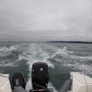 Sat Feb 4th 2017 006