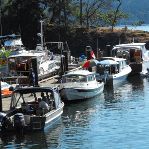 Media 'On the dock at Conover Cove,  Wallace Island' in album 'Captain and Mate'
