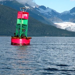 Poundstone Rock buoy and occupants