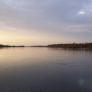 Apalachicola river