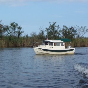 Falcon heading home