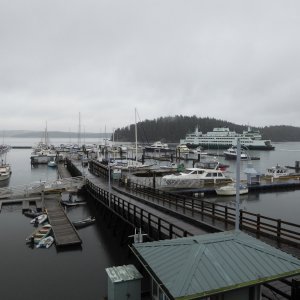 Friday Harbor in December