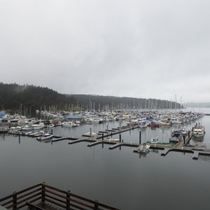 Friday Harbor in December