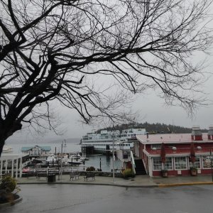 Ferry Terminal