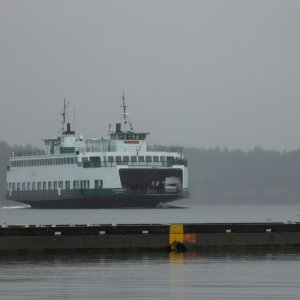 Good view of the ferries from my slip