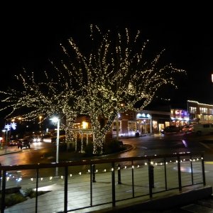 Friday Harbor Christmas Lights