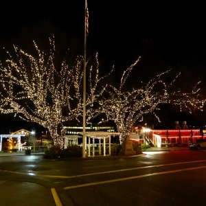 Friday Harbor Christmas Lights