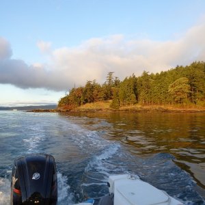 Shaw Island at sunrise