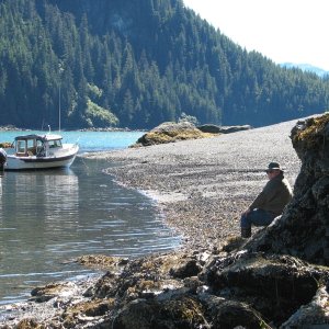 Sawmill Bay, PWS, at low tide