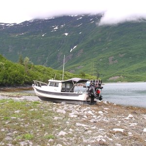 Waiting for high tide