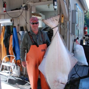 Media '145 # Halibut, Elfin Cove, SE Alaska' in album '145 # Halibut, Elfin Cove, SE Alaska'
