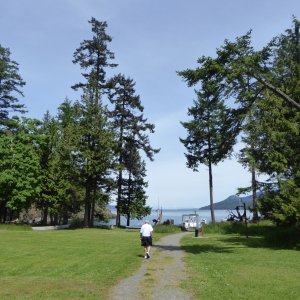 Main trail and nice open green fields at Jones Island