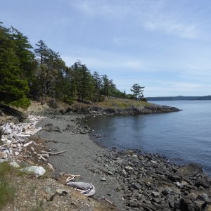 West side of Jones, looking South