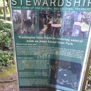 Garry Oak restoration