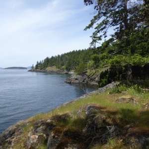 Looking northwest. Still a long hike to go, this island is bigger than I realized!