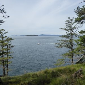 Looking North