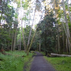 Trail at sundown