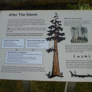 1990 wind storm