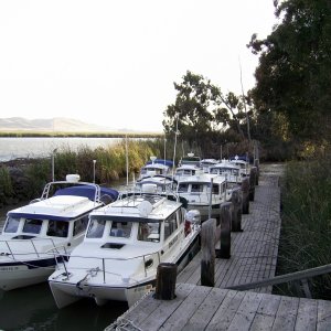 9 C-Dory's at the Wheeler Island Duck Club