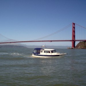 Wild Blue at the Golden Gate