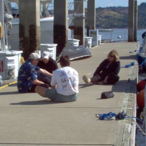 Exercise on the Sausalito docks, led by Bill