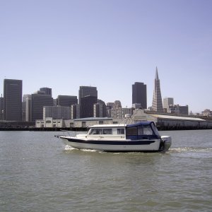 Wild Blue at San Francisco
