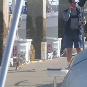 Media 'Jim taking Molly for a walk, or, is it the other way around??' in album '9 C-Dory's at the Wheeler Island Duck Club'