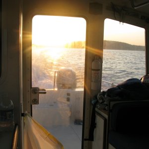 nice ride home